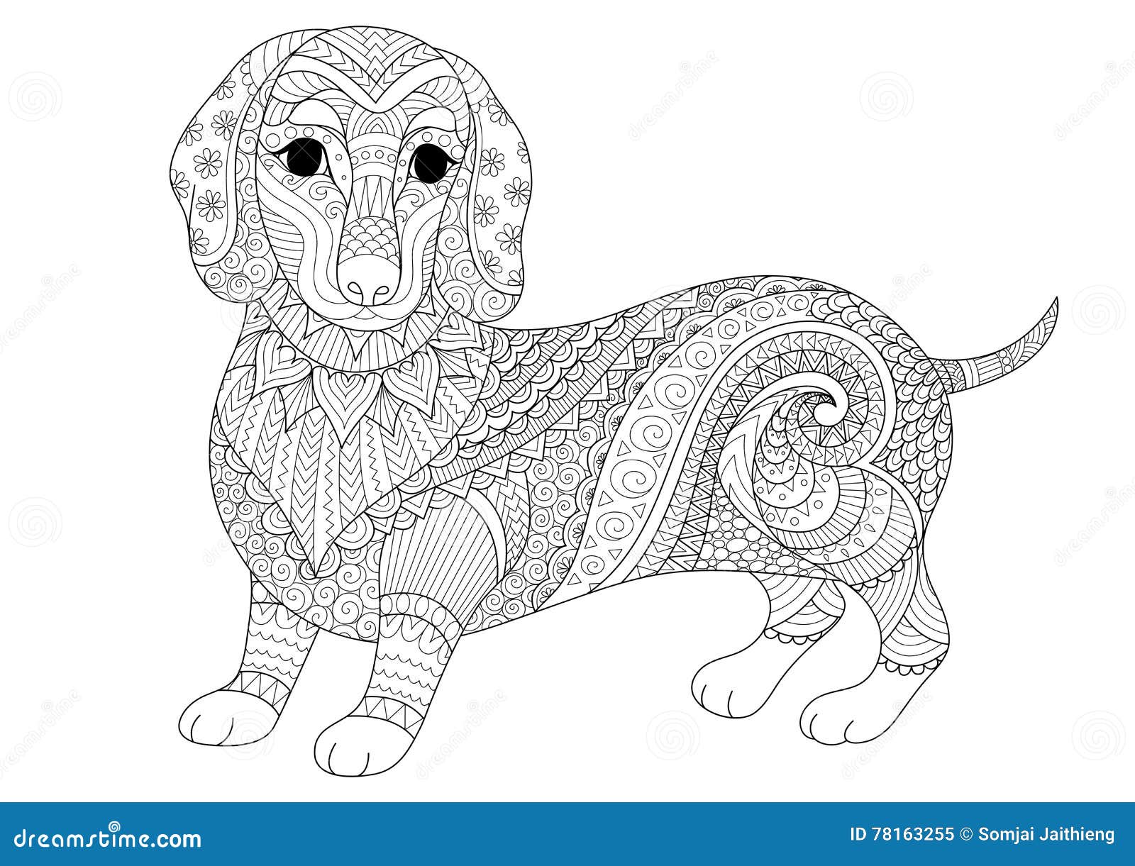 Zendoodle design of dachshund puppy for adult coloring book and t shirt design stock stock vector