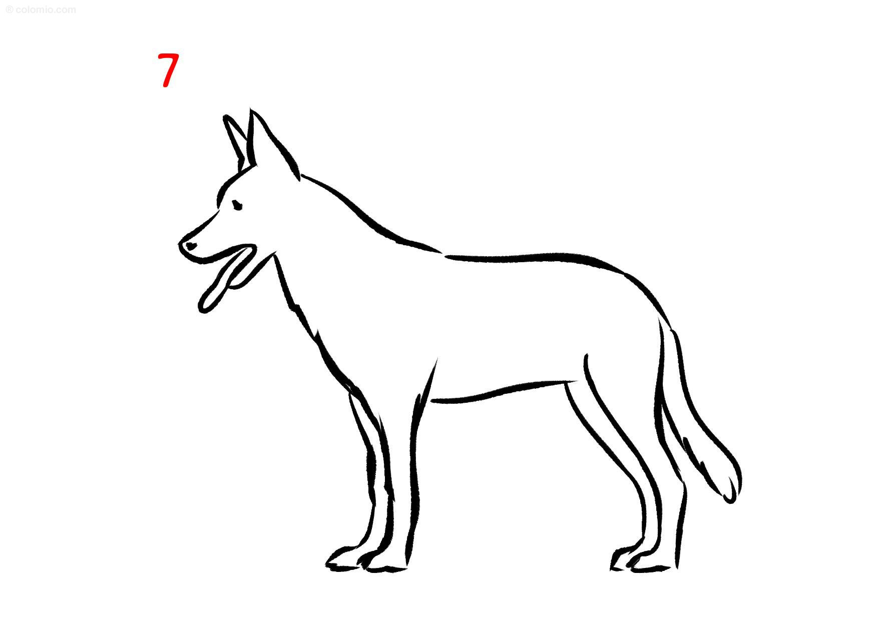 Dogs coloring pages free printable dog coloring sheets