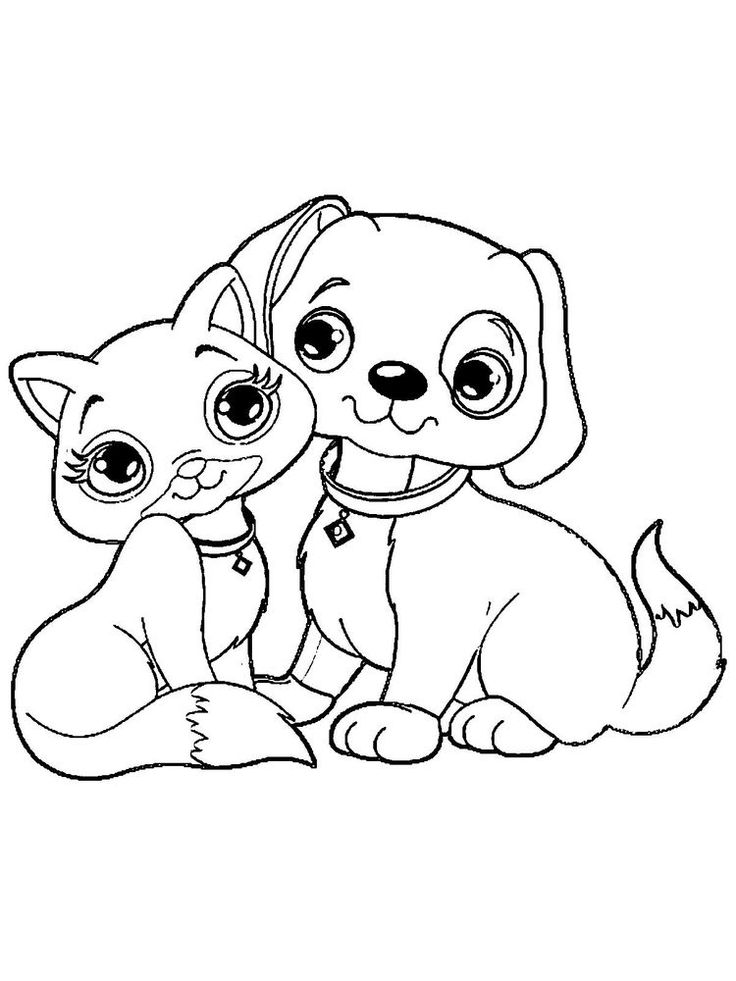 Kitten and puppy coloring pages the kitten is a new born little cat this term is used for cats underâ puppy coloring pages cat coloring page dog coloring page