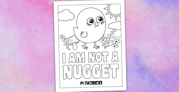 Activities peta kids