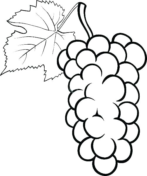 Coloring pages grape coloring page purple coloring pages