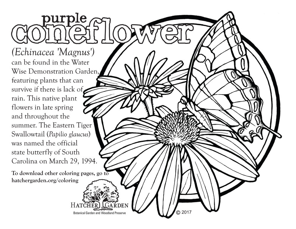Coloring pages â hatcher garden