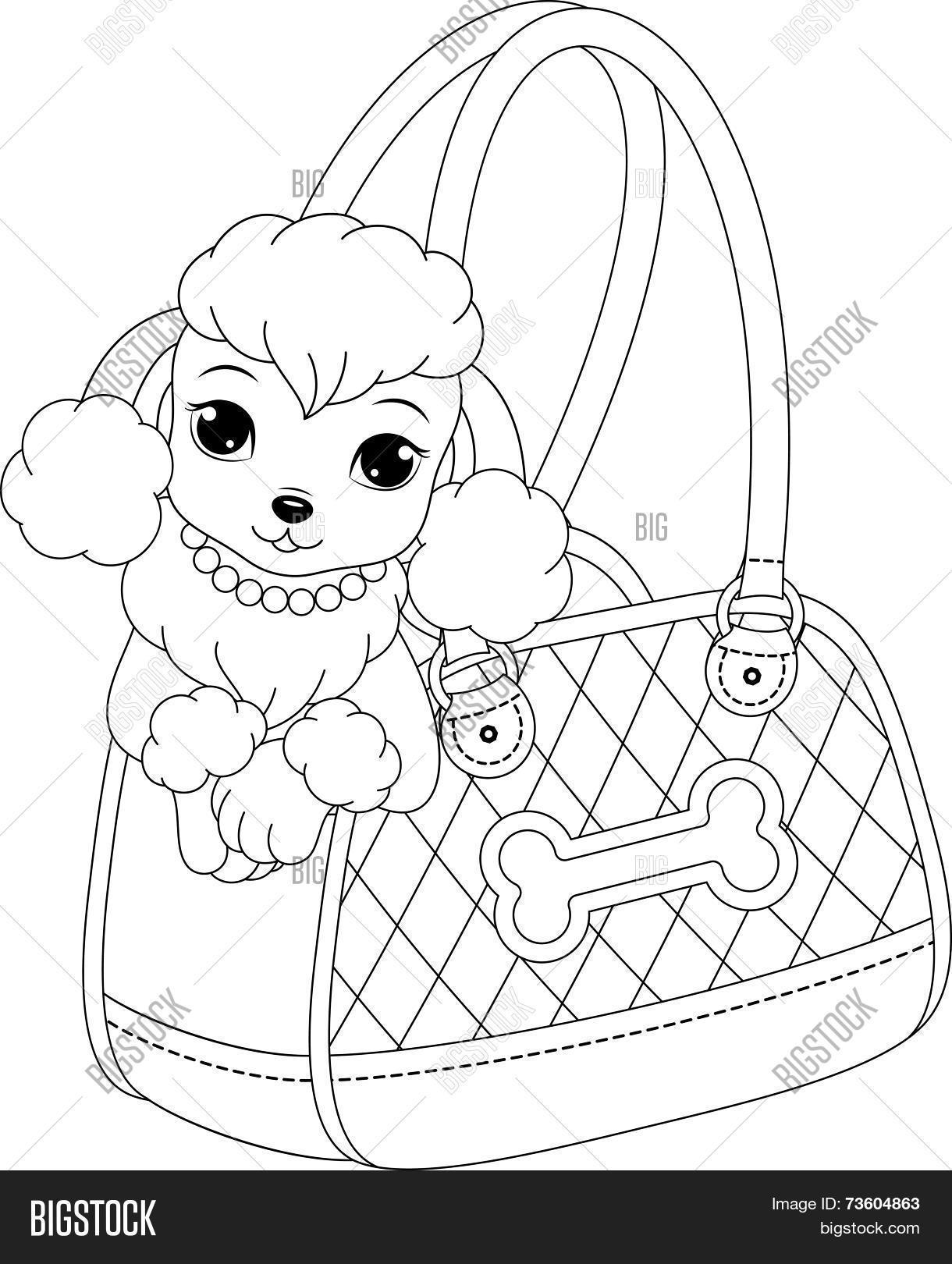 Poodle coloring page vector photo free trial bigstock