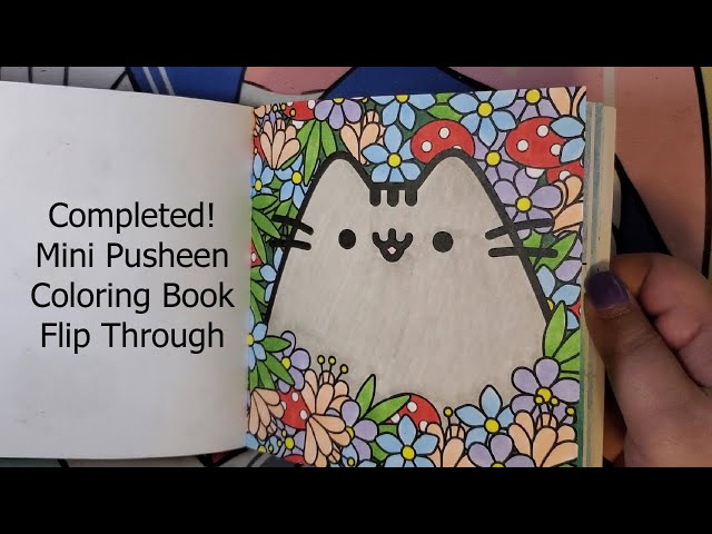Copleted ini pusheen coloring book flip through