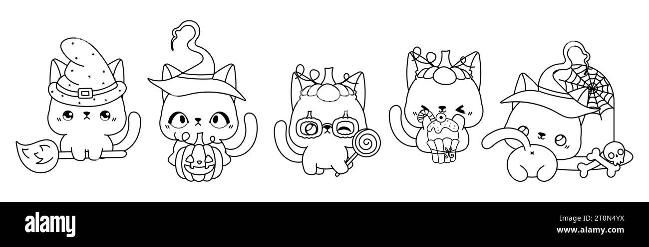 Siamese pumpkin cut out stock images pictures
