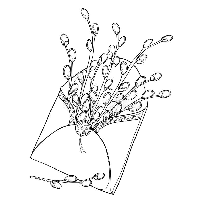 Willow coloring stock illustrations â willow coloring stock illustrations vectors clipart