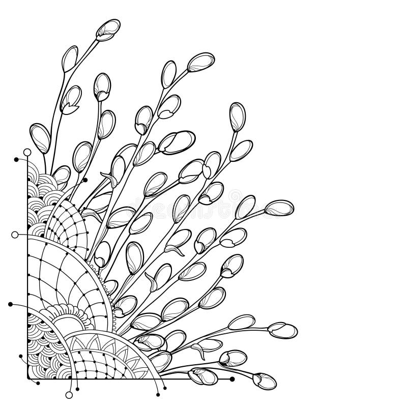 Willow coloring stock illustrations â willow coloring stock illustrations vectors clipart