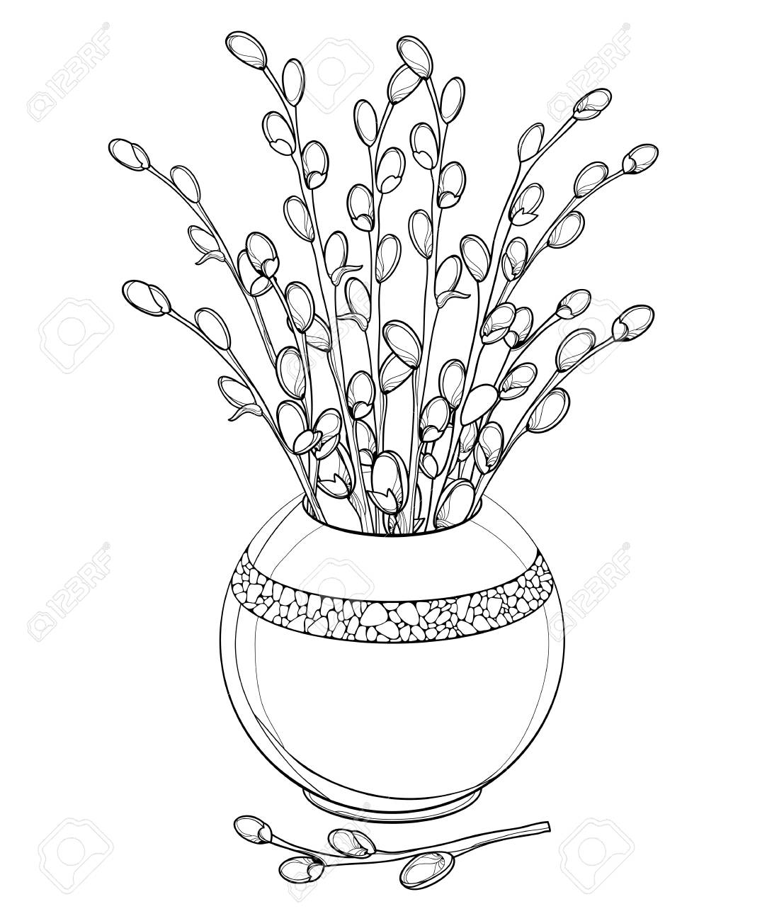 Branch with pussy willow in willow contour for springtime design and easter coloring book royalty free svg cliparts vectors and stock illustration image