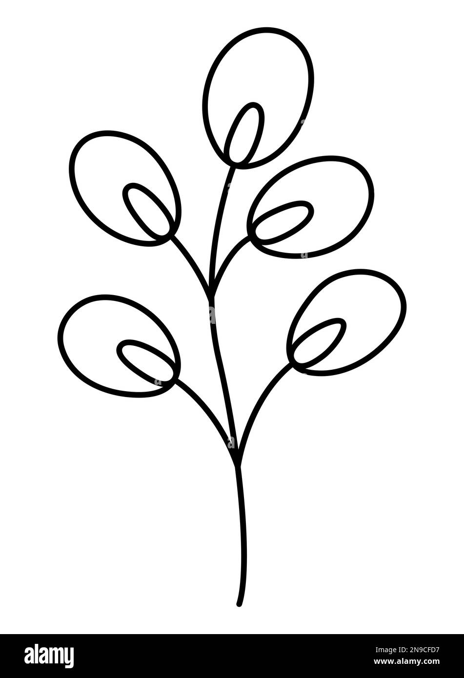 Vector black and white illustration of pussy willow brunch isolated on white background easter traditional symbol and design element cute cartoon sp stock vector image art