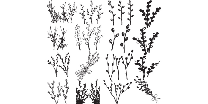Pussy willow svg vector design