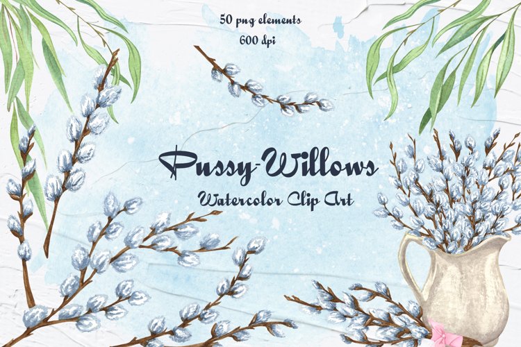 Pussy willow watercolor clip art