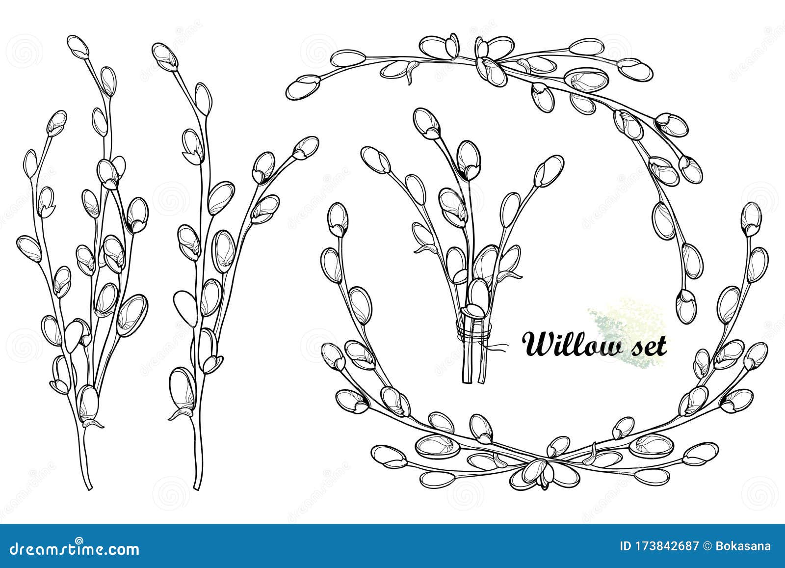 Pussy willow vector stock illustrations â pussy willow vector stock illustrations vectors clipart