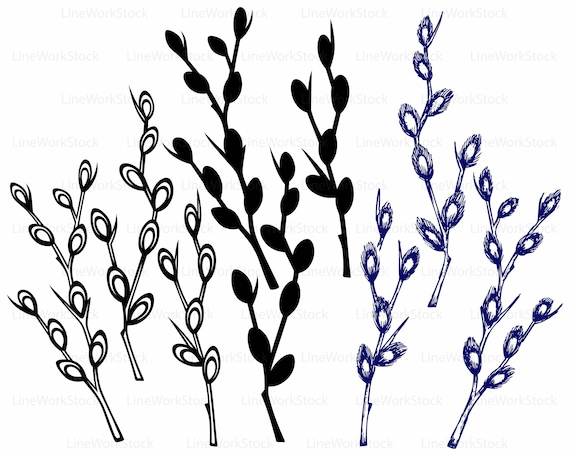 Pussy willow svgwillow clipartpussy willow svgwillow silhouettewillow cricutpussy willow cut filesclip artdigitalsvgdesigns