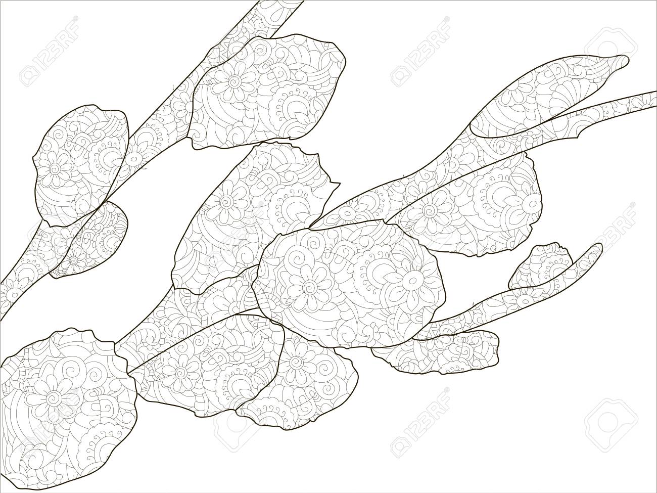 Anti stress coloring book for adults blooming pussy willow branch on white background orthodox holiday easter black lines royalty free svg cliparts vectors and stock illustration image