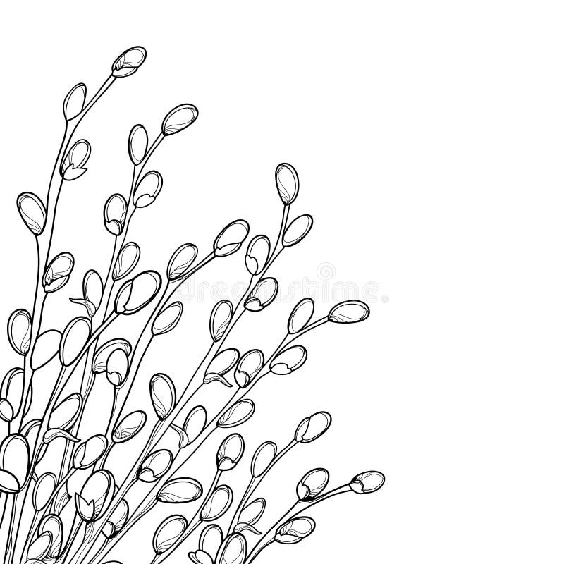 Willow coloring stock illustrations â willow coloring stock illustrations vectors clipart