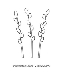 Flat willow catkins vector art graphics