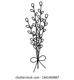 Three pussy willow twigs doodle style stock vector royalty free
