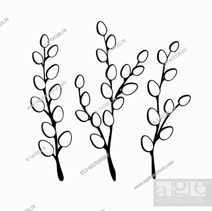 Vector set with outline willow twigs in black isolated on white background stock vector vector and low budget royalty free image pic esy