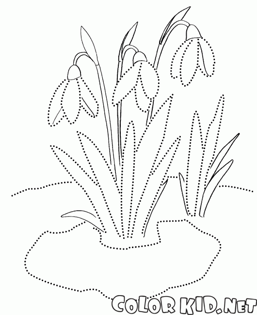 Coloring page