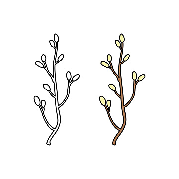 Willow twig png transparent images free download vector files