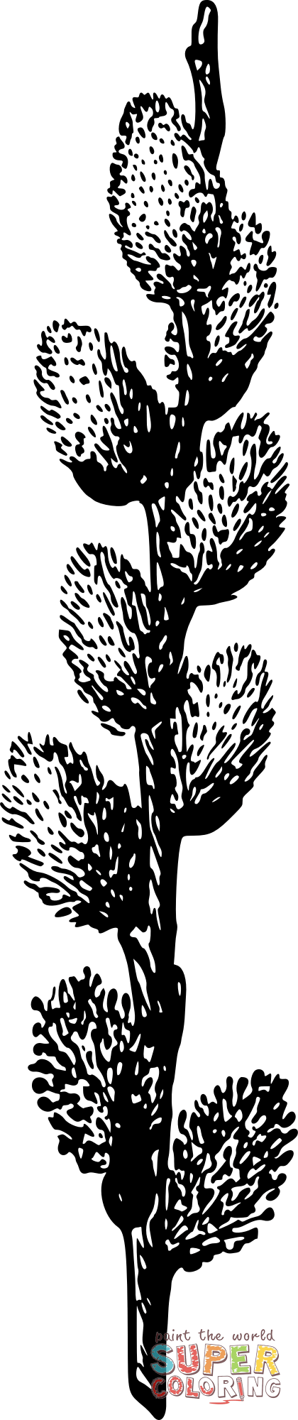 Vintage pussy willow coloring page free printable coloring pages