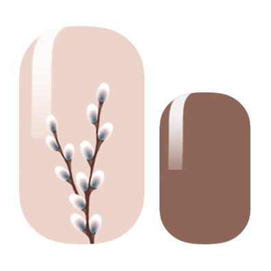 Pussy willow exclusive â