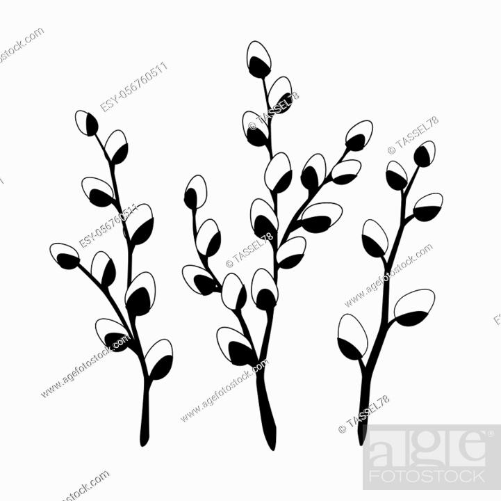 Vector set with outline willow twigs in black isolated on white background stock vector vector and low budget royalty free image pic esy