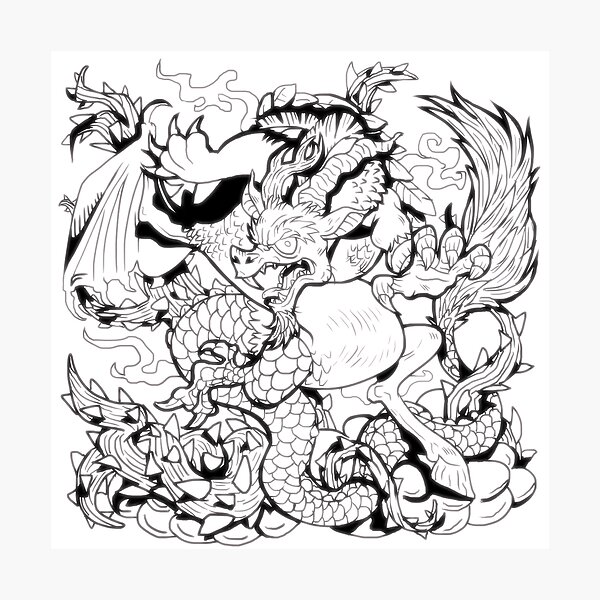 Funny discord photographic prints for sale