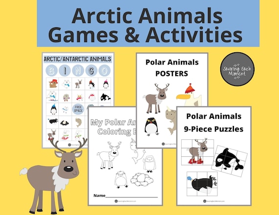 Preschool activity pages polar animals arctic animals bingo coloring pages printable worksheets preschool puzzles north pole