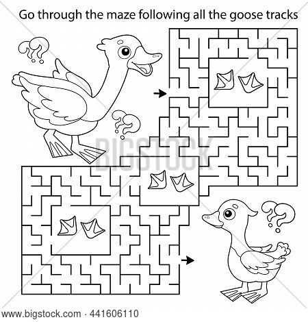 Maze labyrinth game vector photo free trial bigstock