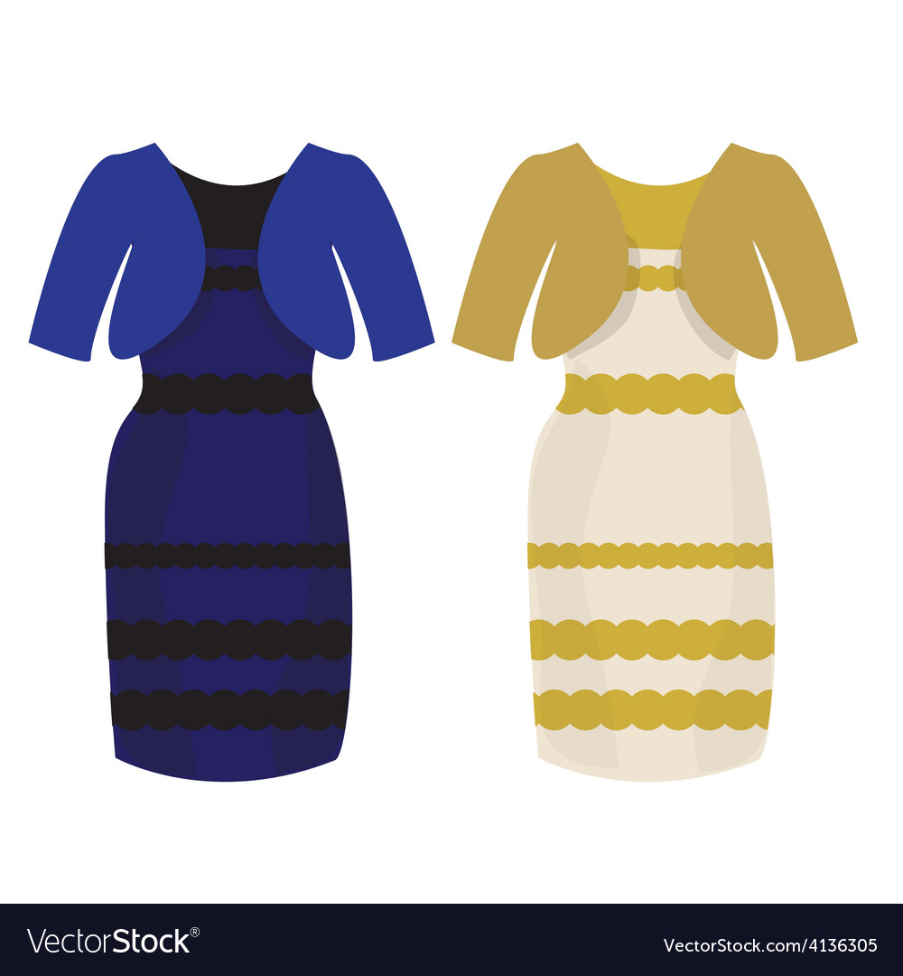 Puzzle what color of dress white and gold vector image