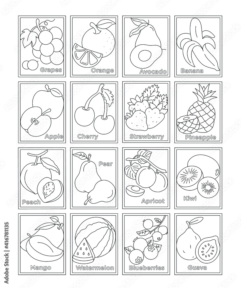 Pack of fruits coloring pages vector