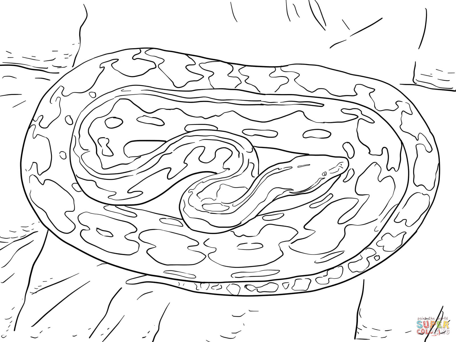 Reticulated python coloring page free printable coloring pages