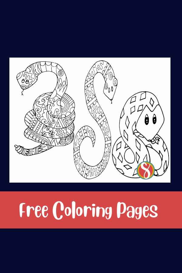 Free snakes coloring page â stevie doodles