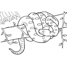 Top free printable snake coloring pages online