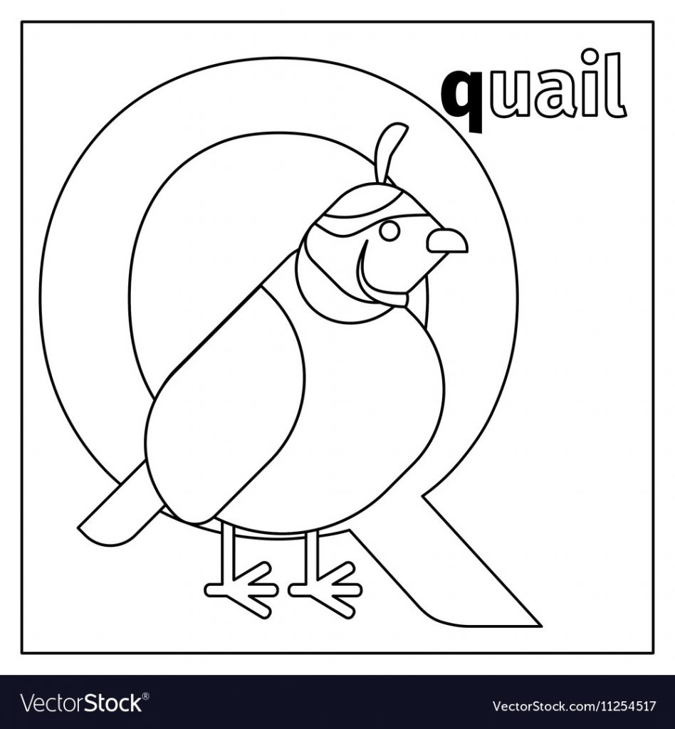 Letter q coloring page for kids
