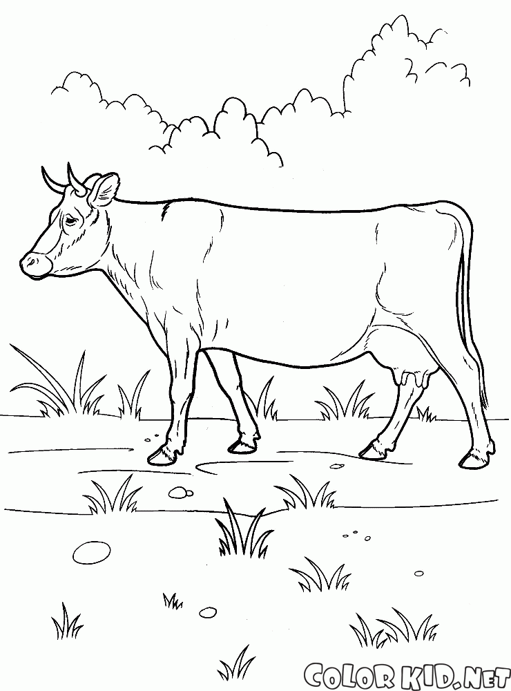 Coloring page