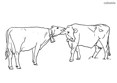 Animals coloring pages free printable animals coloring sheets