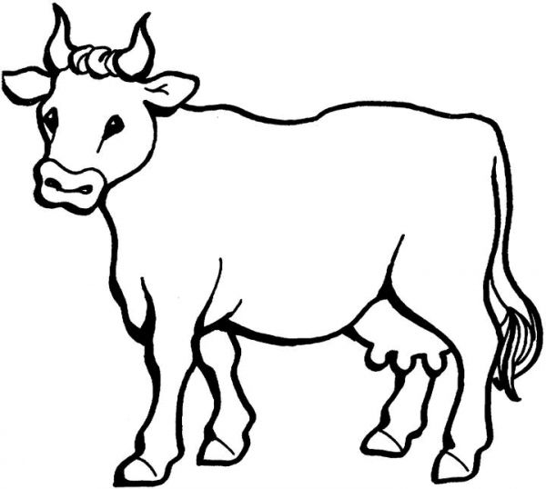 Vaca dibujo para colorear cow coloring pag animal coloring pag moon coloring pag
