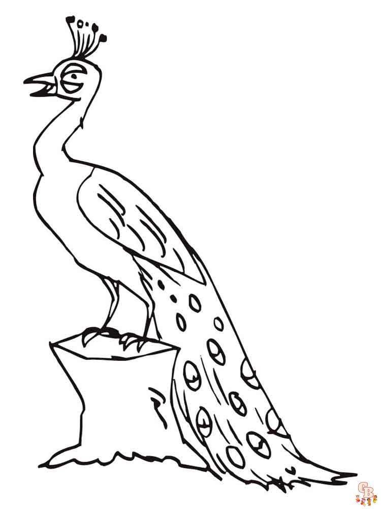 Ultimate peacock coloring pages para niãos