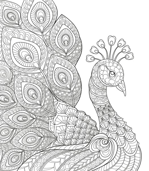 Colouring book peacock mãs de ilustraciones y dibujos de stock con licencia libres de regalãas