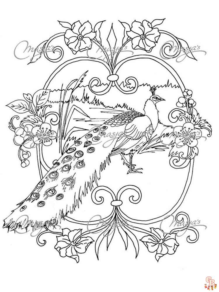 Ultimate peacock coloring pages para niãos