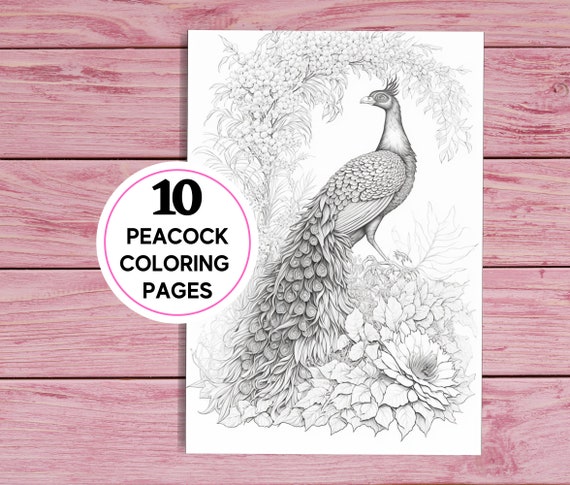 Hermosos pavos reales pãginas para colorear para niãos y adultos pdf imprimible pãginas a descarga instantãnea de hojas para colorear