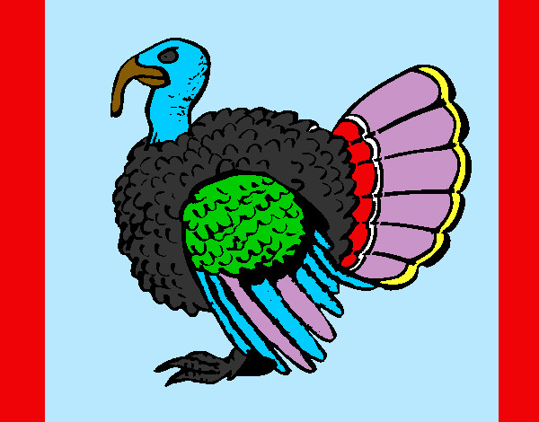 Turkeys coloring pages