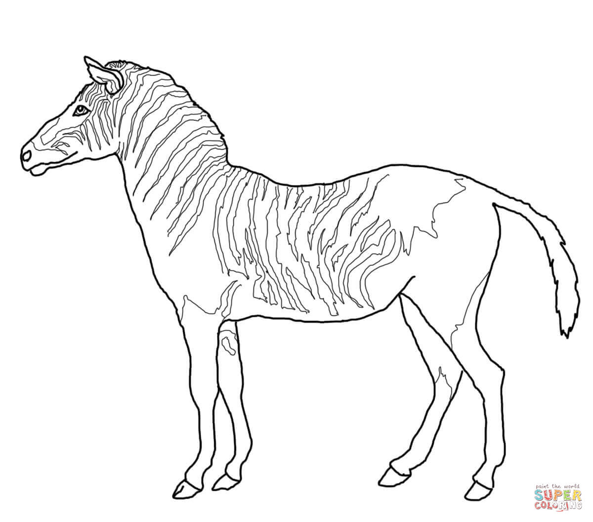 Quagga coloring page free printable coloring pages