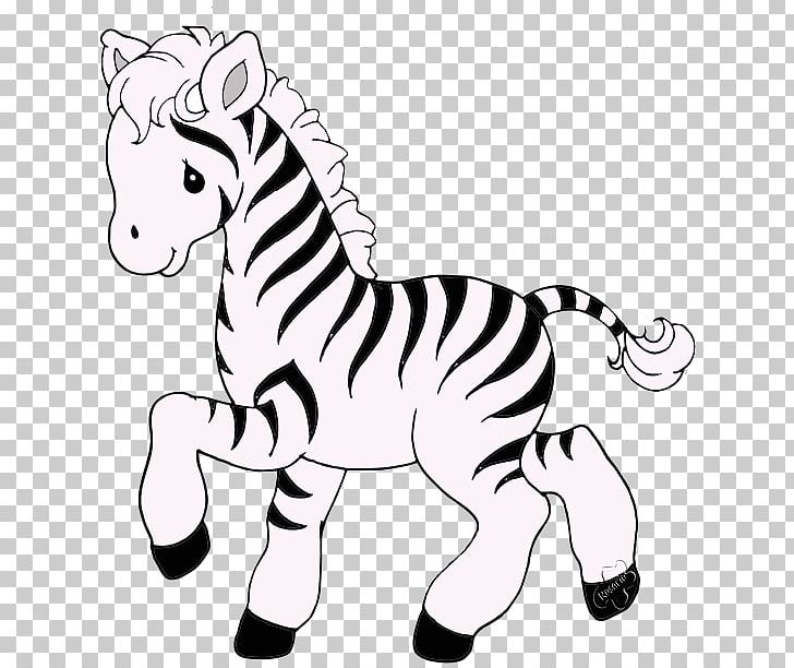 Quagga pony zebra drawing coloring book png clipart animal animal figure animals artwork black and white