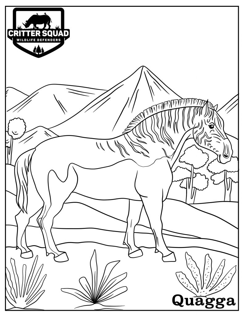 Quagga coloring page