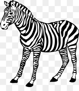 Quagga png