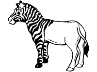 Zebra coloring pages and printable activities