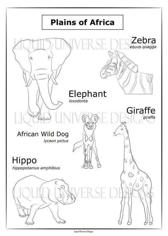 African animals poorly drawn animals coloring page meditation stress relief instant download coloring for relaxation
